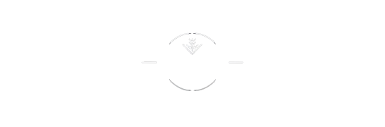 Magica Noctis logo